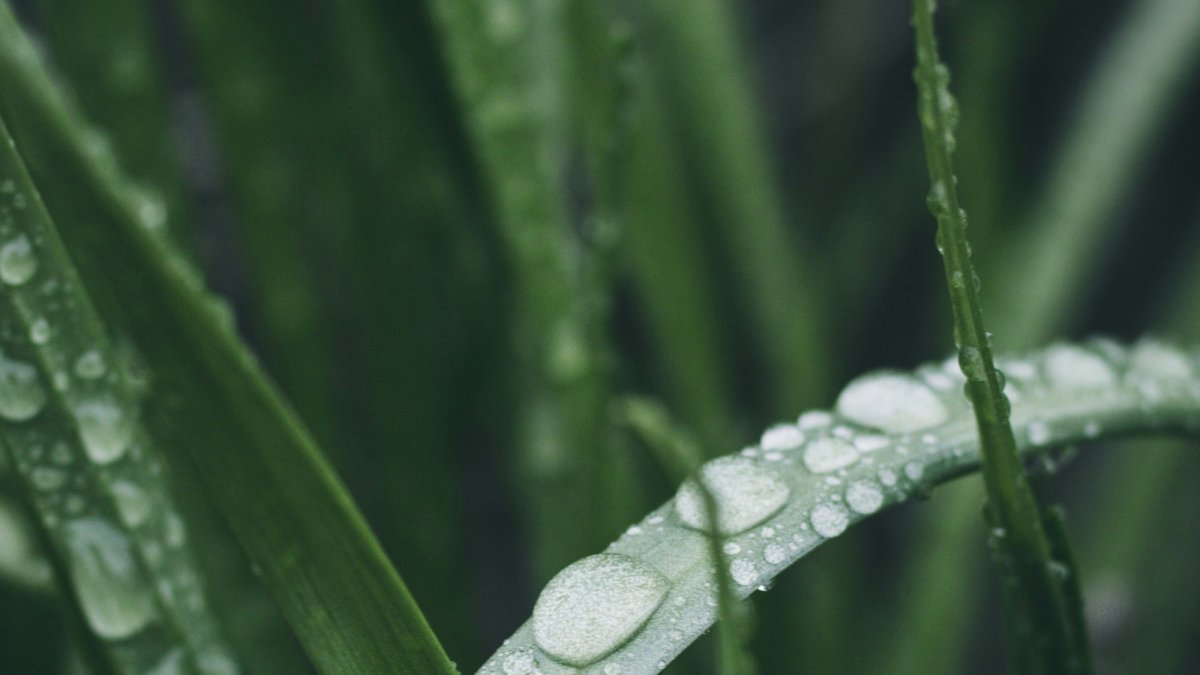 Dhruv Kumar / Unsplash