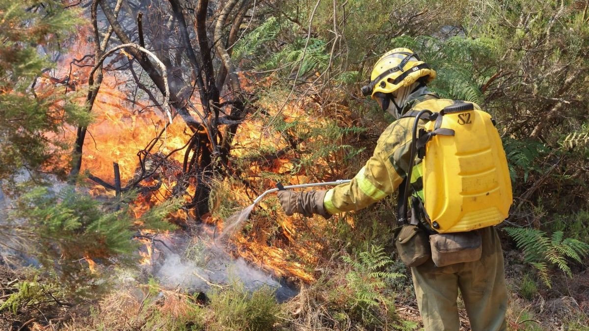 Bomberos trabajan en la extinción de un incendio en las proximidades de La Alberca (Salamanca). - GUARDIA CIVIL