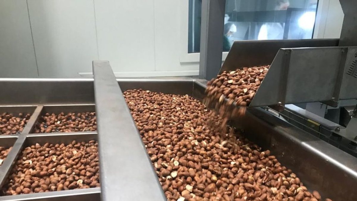 Les inspeccions verifiquen el compliment de les normatives. - DEPARTAMENT D’AGRICULTURA