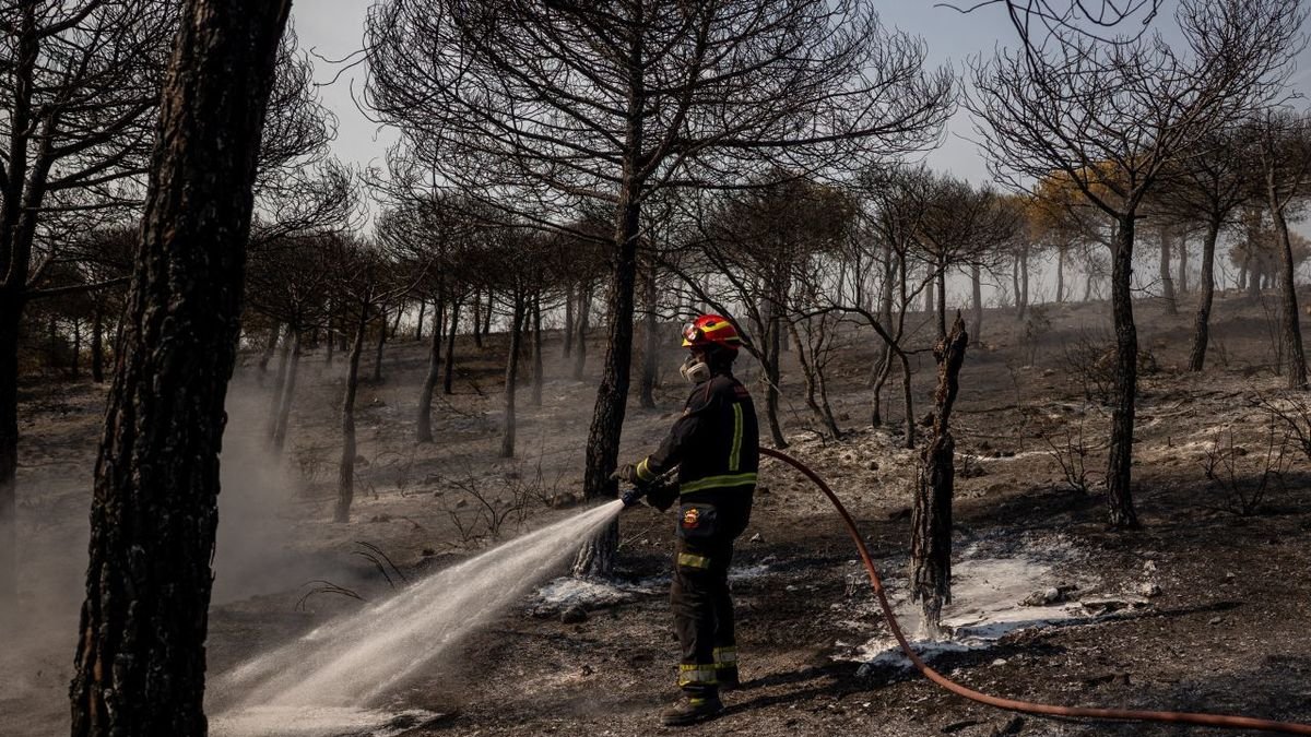 Un bombero enfría un área de superficie quemada por el incendio en Colmenar Viejo (Madrid). - EFE