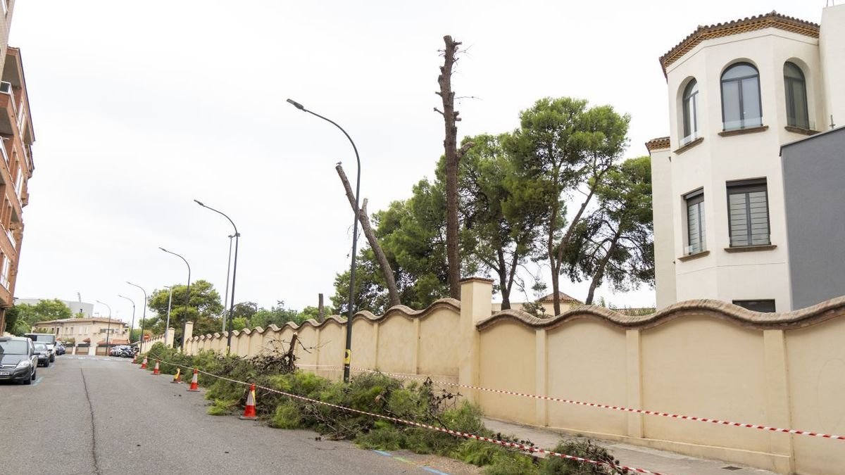 Los árboles se retiraron entre el martes y ayer por la mañana, según informaron vecinos de la calle Sant Hilari. - PAU PASCUAL
