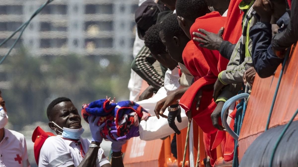 Momento en el que uno de los bebés es trasladado a tierra. - EFE/QUIQUE CURBELO