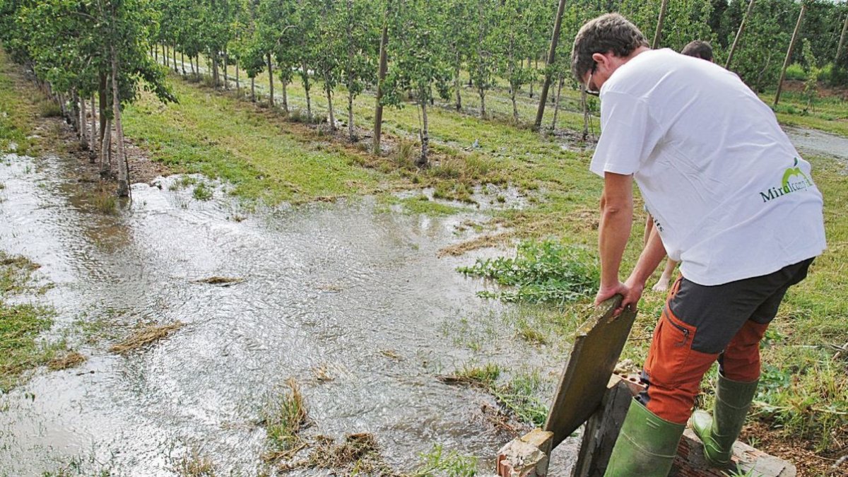 El proyecto prevé sustituir el tradicional riego a manta del Canal d’Urgell por otros más eficientes. - JOAN GÓMEZ