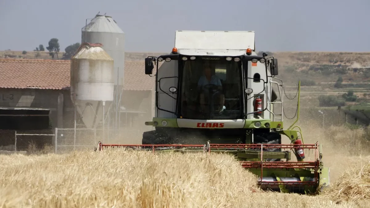 Una recol·lectora en plena campanya a Lleida. - ACN