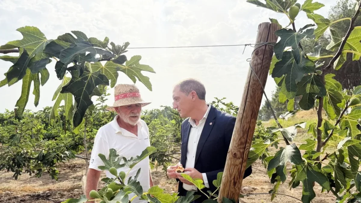 Crespín va visitar ahir una finca de figues a Alguaire. - SUBDELEGACIÓ DEL GOVERN ESPANYOL A LLEIDA