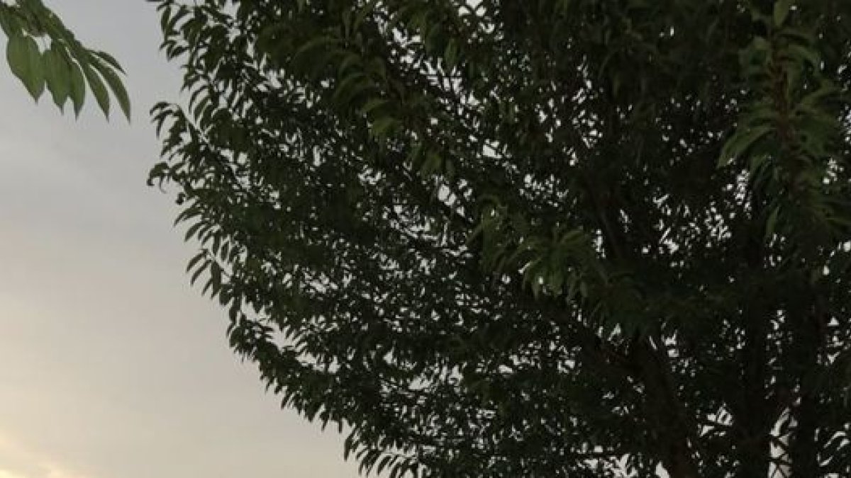 Ana Peleteiro, durant les seues vacances a França. - @APELETEIROB