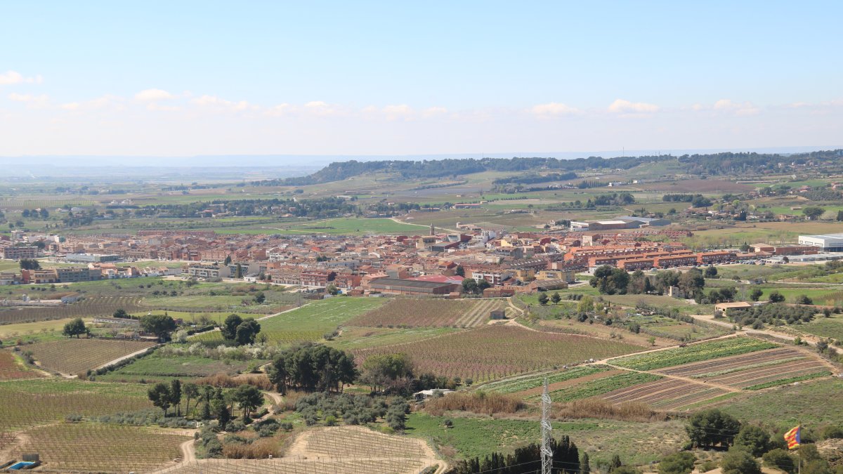Una vista del municipio de Alpicat.