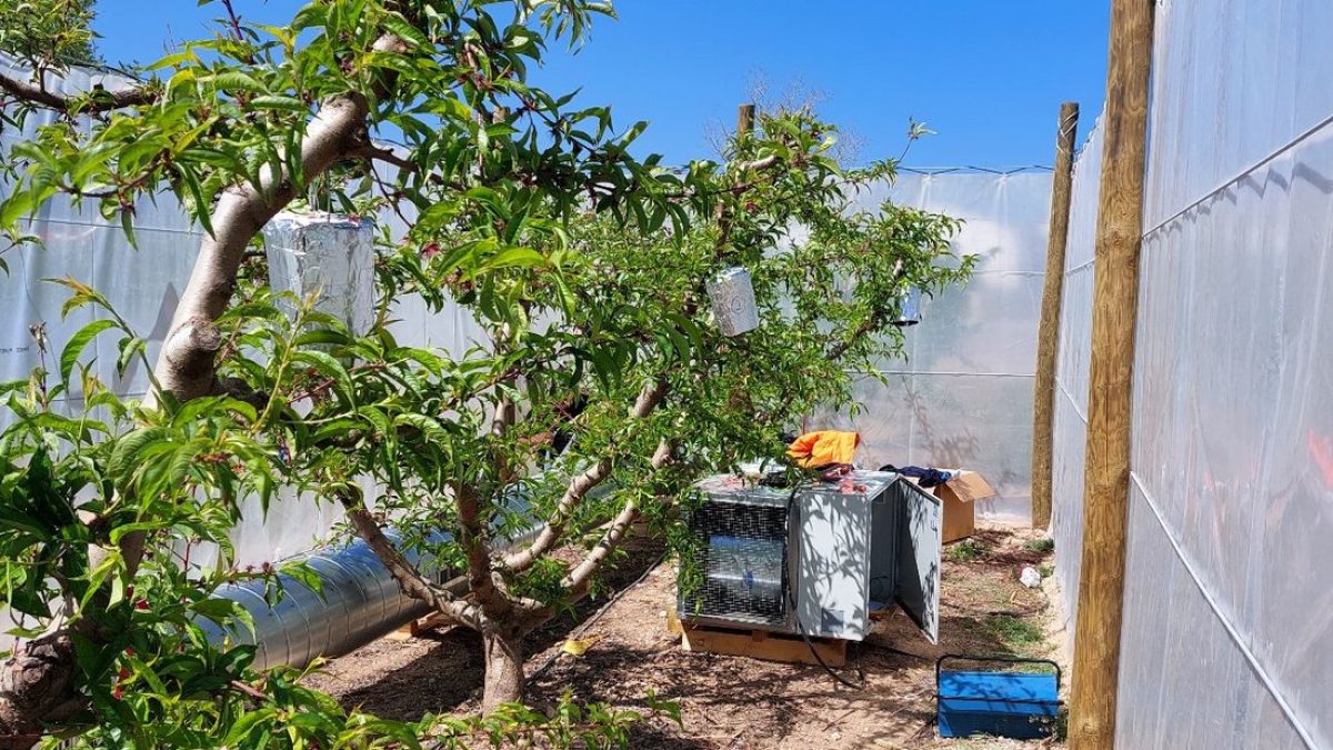 Interior de una de las cámaras de calentamiento donde se incrementa la temperatura en cuatro grados.
