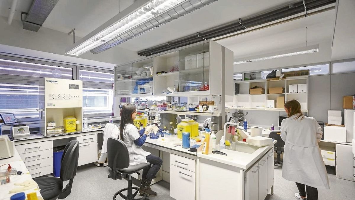 Un laboratori de l’Institut de Recerca Biomèdica IRBLleida. - IRBLLEIDA