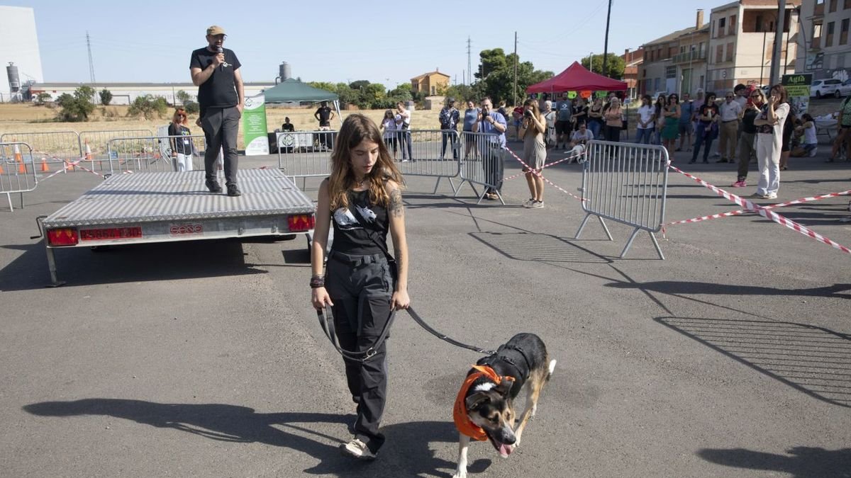 Un moment de la desfilada canina d’ahir a Cervera. - C. MARSIÑACH