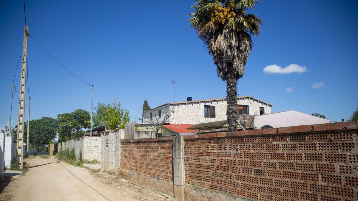 Los hechos ocurrieron en mayo en esta finca de la partida Clotal de Els Alamús. - SEGRE