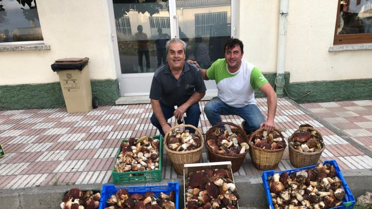 Manel Muñoz y Joan Mora, ‘boletaires’ de Cervera lograron una buena cosecha de ‘ceps’ esta semana. - SEGRE