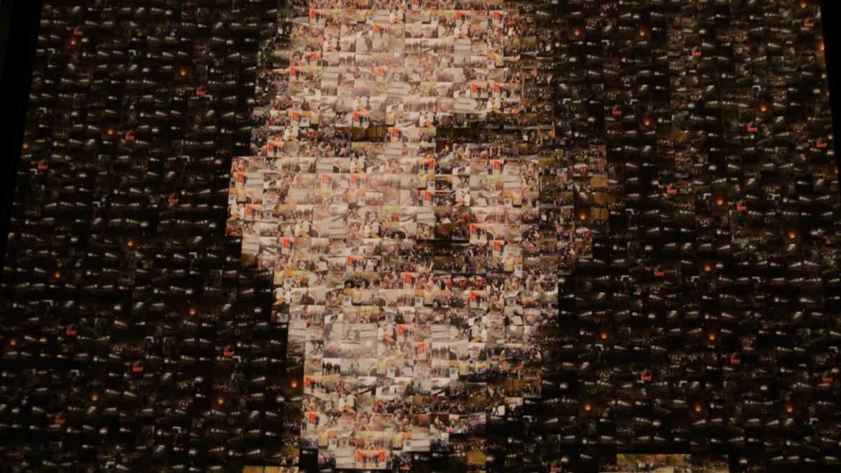 El mosaico con fotos del 1-O de Felip VI colgado en la sala de plenos del ayuntamiento de Girona.