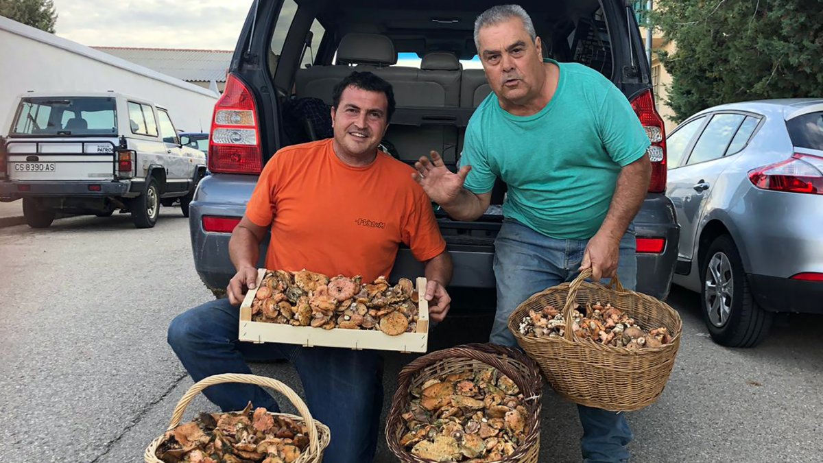 Dos recolectores de setas.
