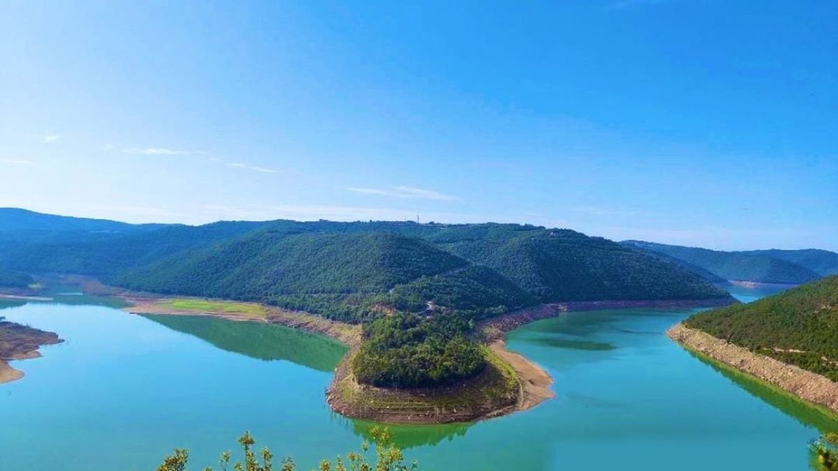 La zona del pantà en la qual s’instal·larà la tirolina. - E. FARNELL