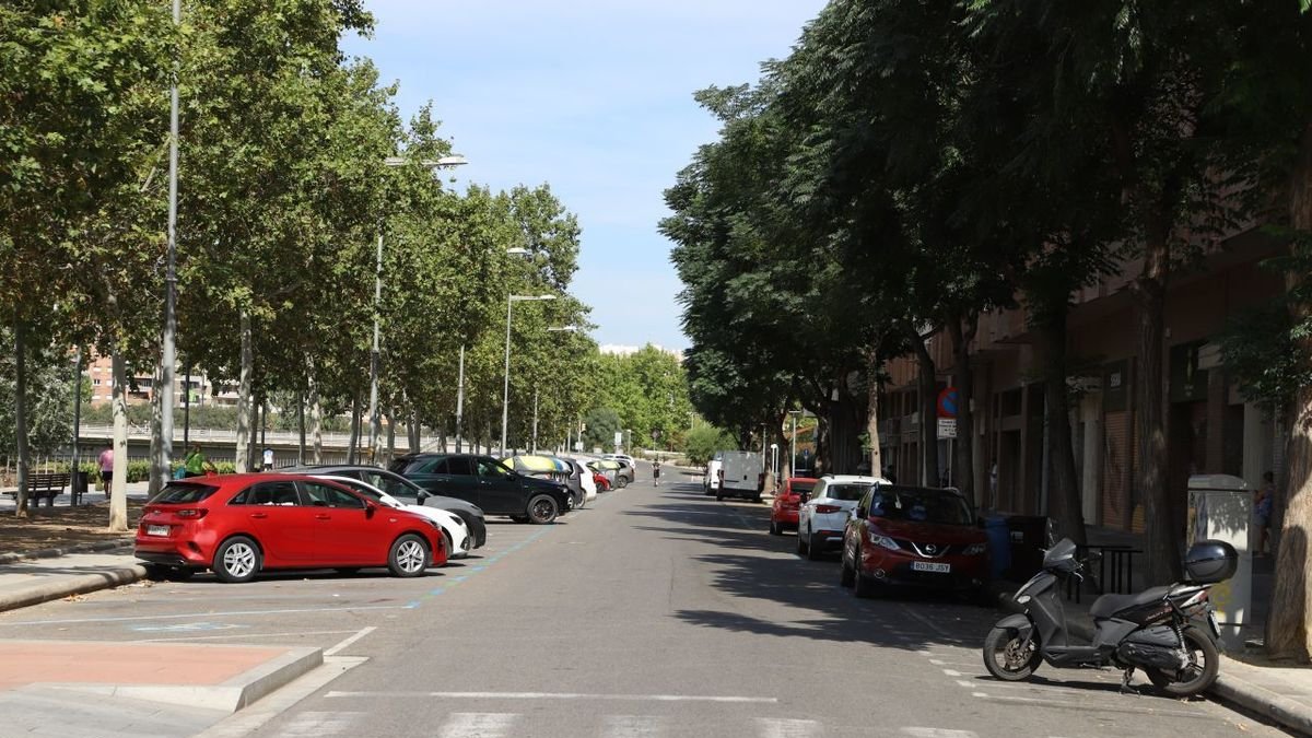 L’agressió es va produir divendres de la setmana passada al carrer Jaume II de Cappont. - MAGDALENA ALTISENT