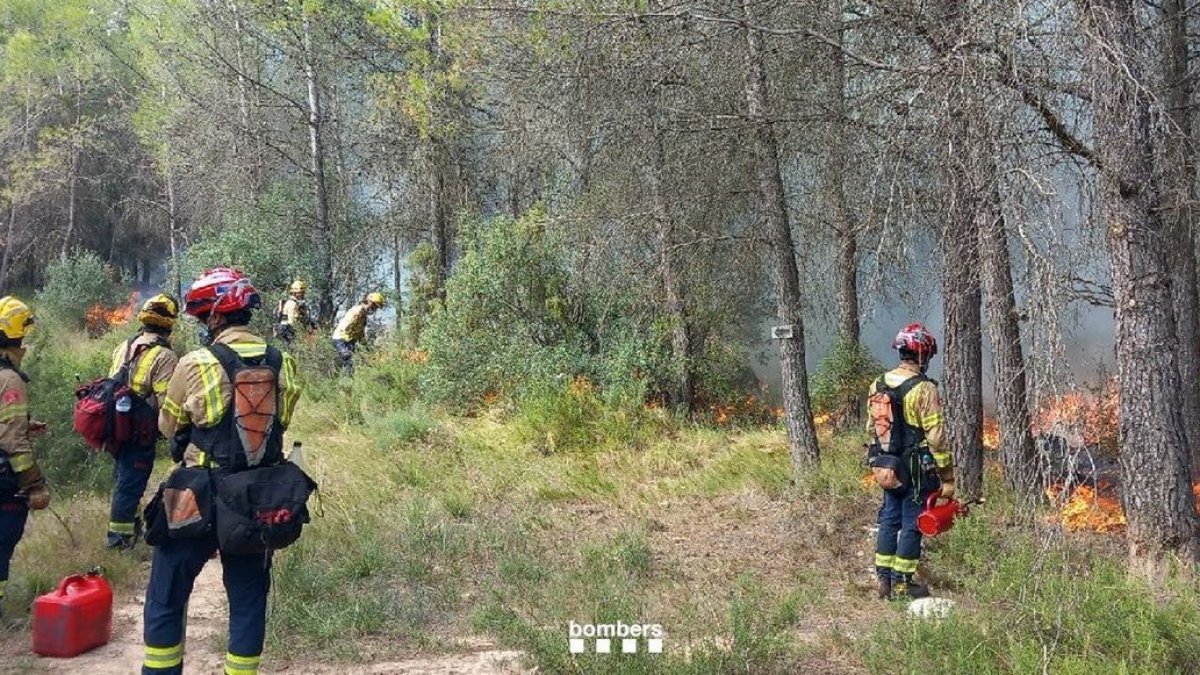 Imagen ayer de la quema prescrita. - BOMBERS