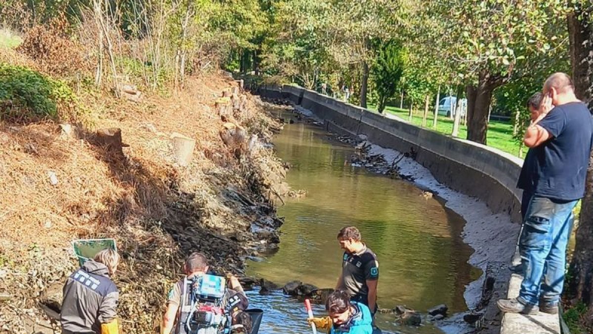 Agents Rurals i personal de Forestal Catalana participen en el rescat de peixos a la central de Sort. - LAS NOGUERAS GUÍAS DE PESCA