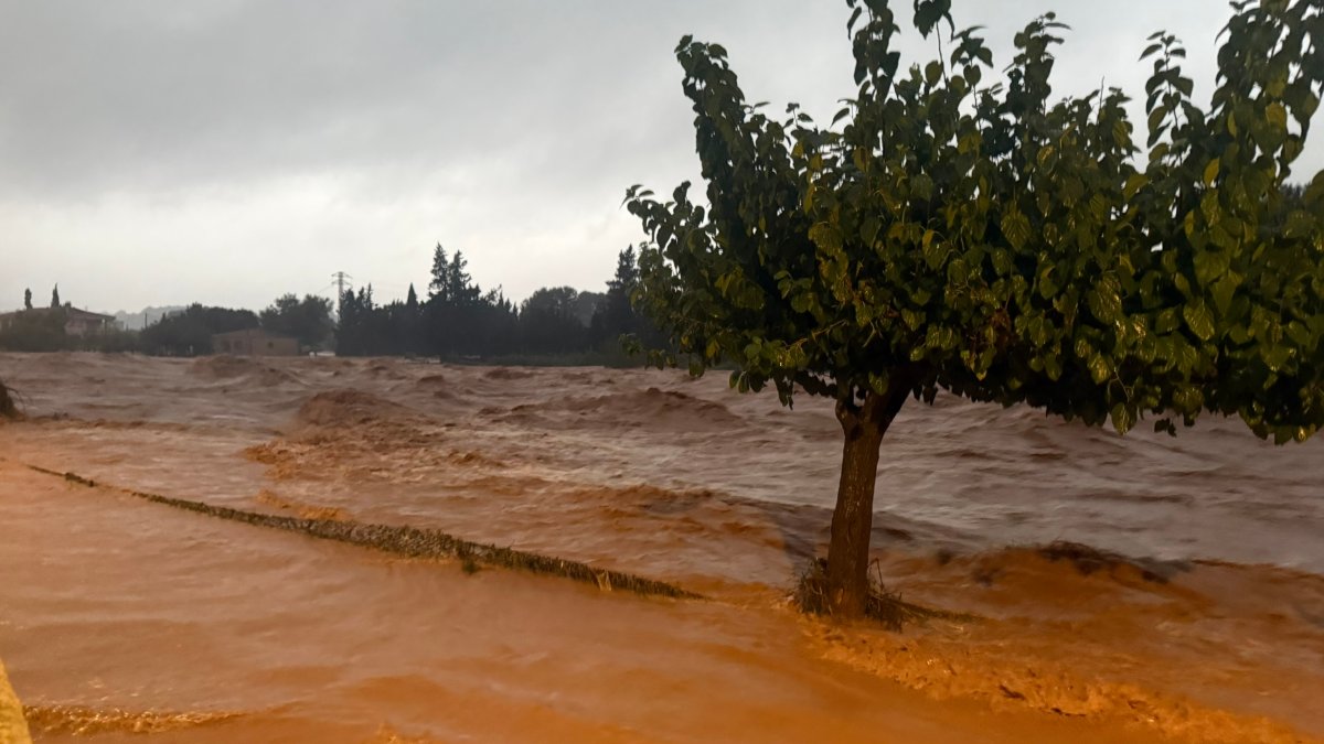 Barranc de la Galera a Masdenverge.