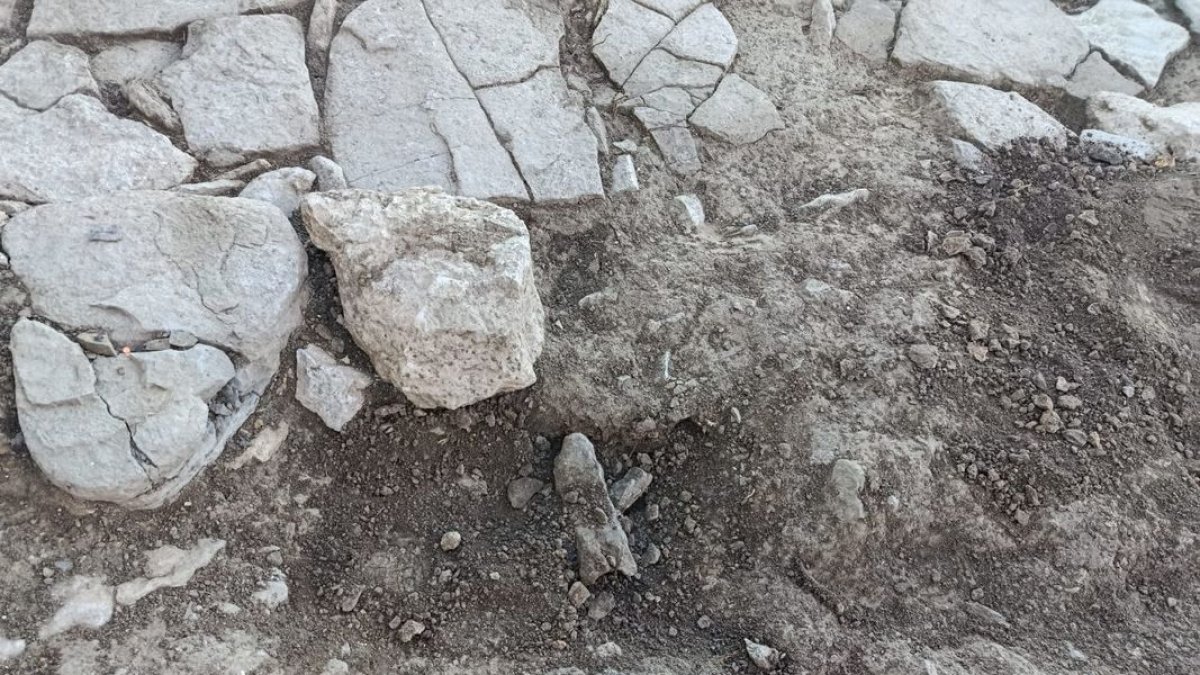 Un dels forats que van fer les persones que van accedir al jaciment amb detectors de metalls. - ACN / MARTA LLUVICH