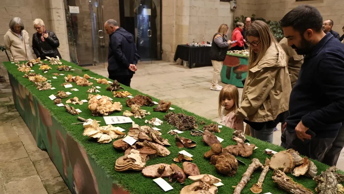 Visitants ahir a l’exposició que es podrà veure fins demà al Pati de l’IEI. - AMADO FORROLLA