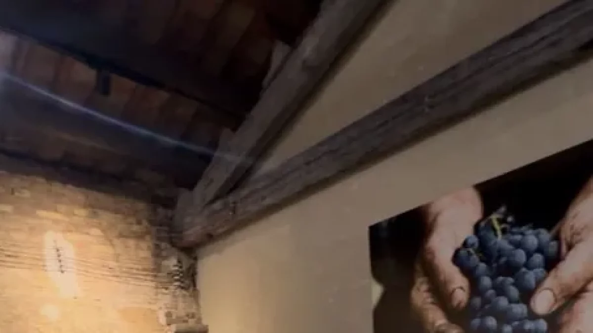 Presentación del proyecto el sábado en el Castell del Remei. - AEM