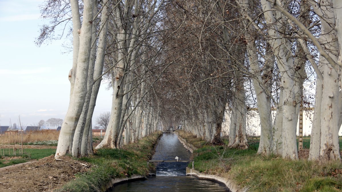 El Canal d'Urgell en foto d'arxiu.