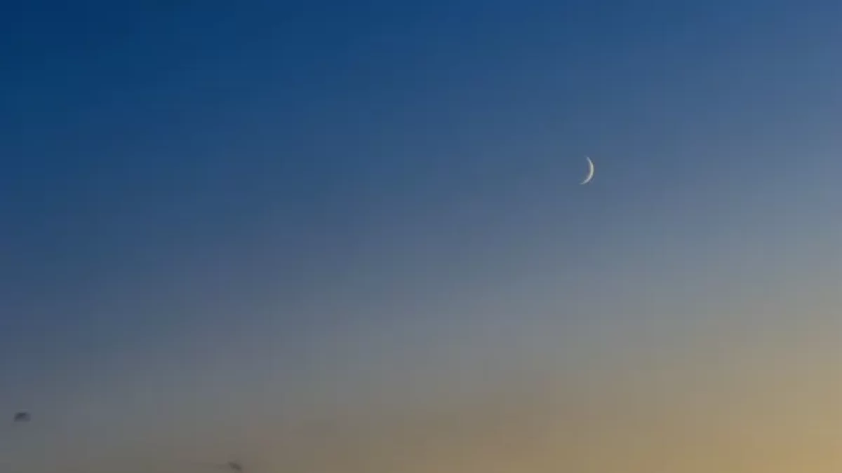 El grafisme del Foc i l’incendi de la fàbrica - LLORENÇ MELGOSA ALONSO