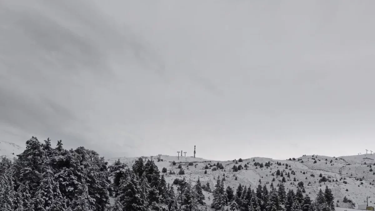 El domini esquiable de Port Ainé després de la nevada de dijous passat. - FGC