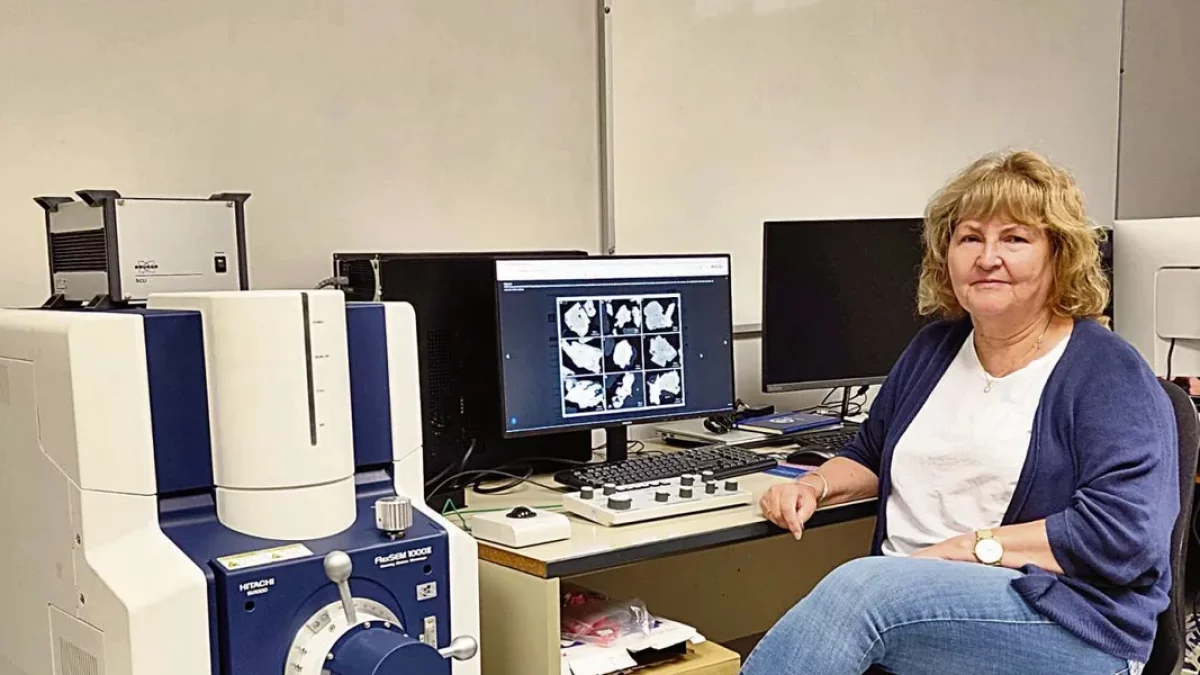 «El wolframio tuvo importancia histórica en el Pirineo»