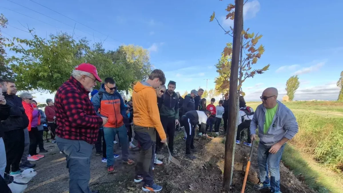La plantada de l’arbre va congregar un bon nombre de veïns. - AMICS DE LA BANQUETA
