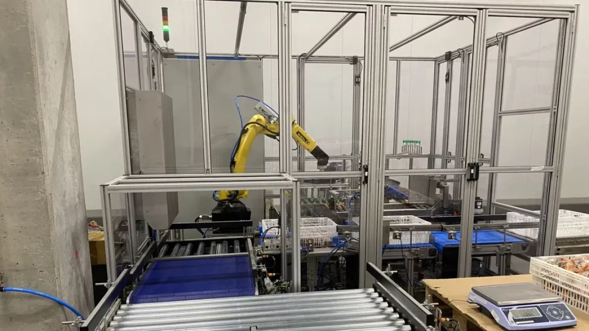 Les instal·lacions d’Épila permeten la distribució de productes a 130 botigues en l’actualitat. - BONÀREA