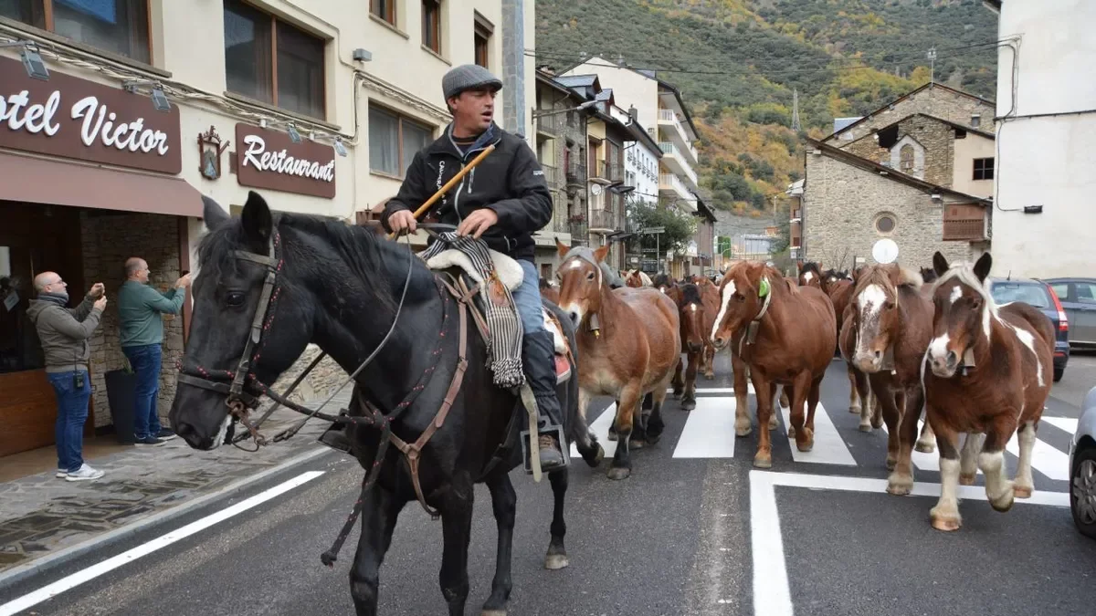 Trashumancia de caballos de Sant Joan de l’Erm a Enviny y Llarvén - EDGAR ALDANA