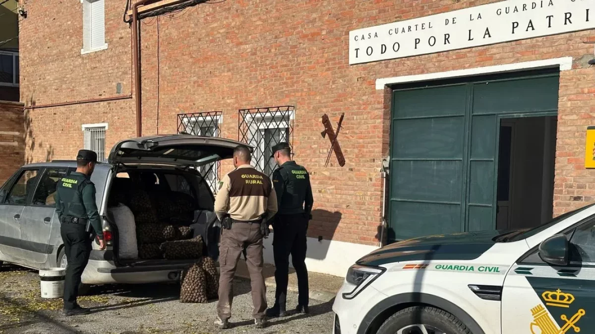 Agents de la Guàrdia Civil amb els sacs de nous intervinguts. - GUÀRDIA CIVIL