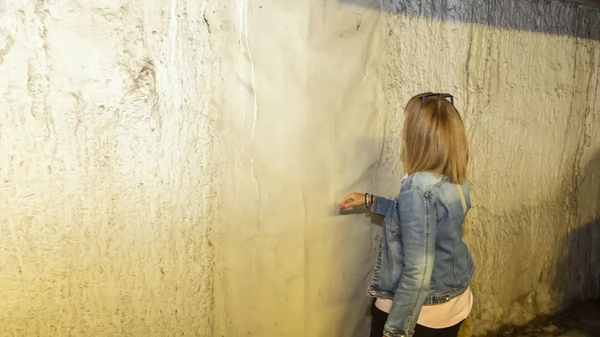 Una veïna mostra els desperfectes d’un bloc d’Inmocaixa. - JORDI ECHEVARRIA