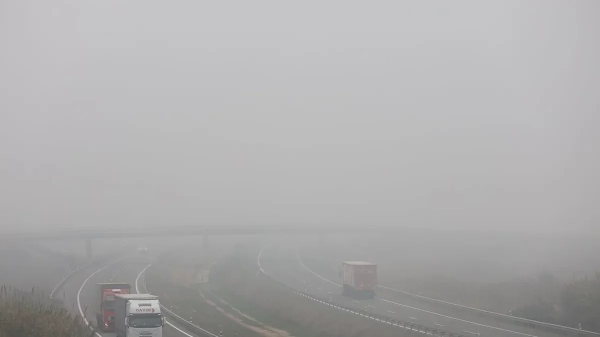 La boira densa complica la circulació en carreteres del pla de Lleida - AMADO FORROLLA