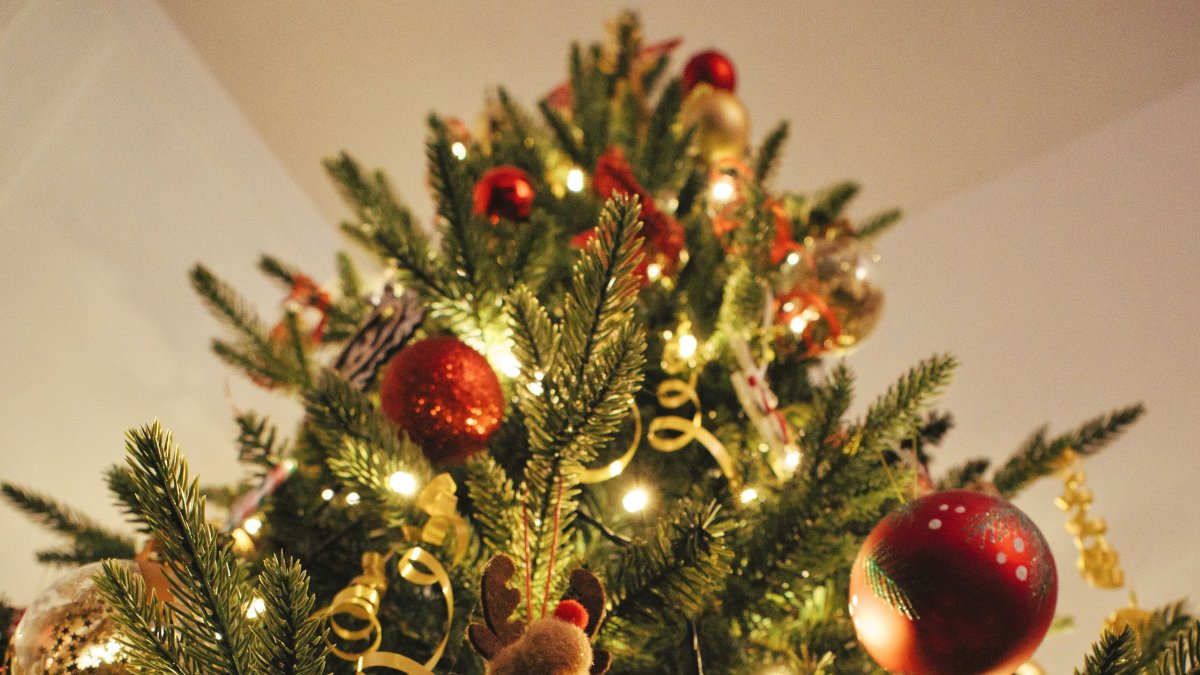 Allyson Beaucourt / Unsplash