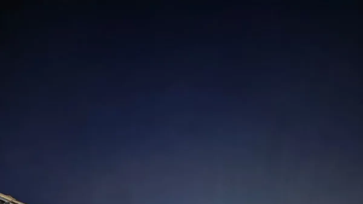 Encendido de luces de Navidad, en la Fira de Riner en Freixinet. - SEBASTIÀ TAMARIT