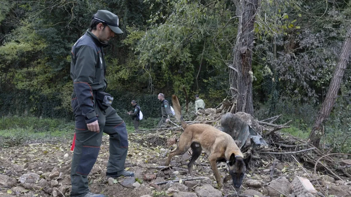 El Cos d’Agents Rurals mostra com es treballa sobre el terreny amb els agents canins. - EFE/MARTA PÉREZ