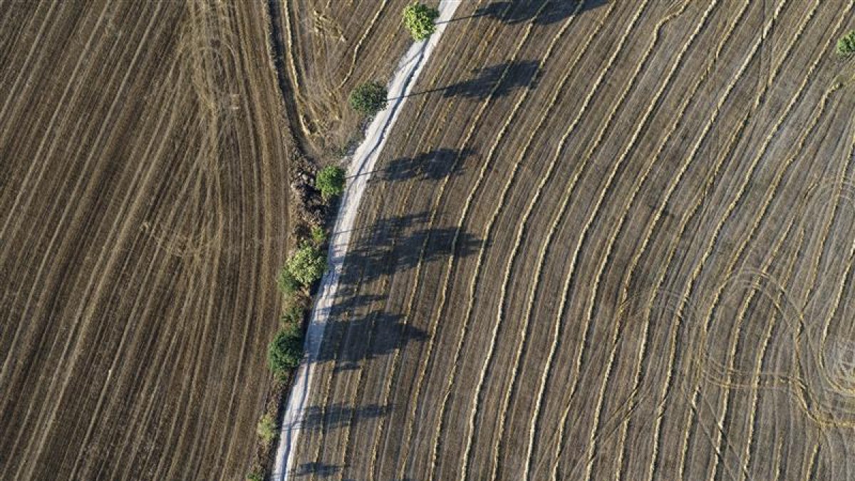 Parcel·les agrícoles catalanes recollides amb la DUN.