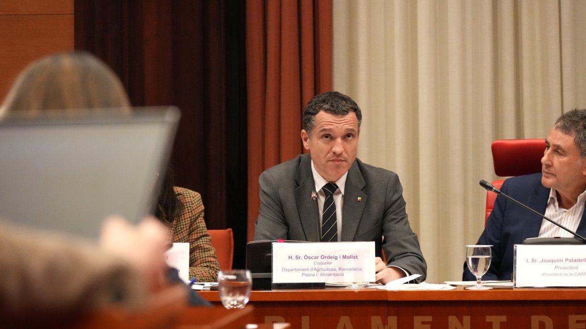 El conseller d'Agricultura, Òscar Ordeig, durant la seua compareixença aquest dijous al Parlament.