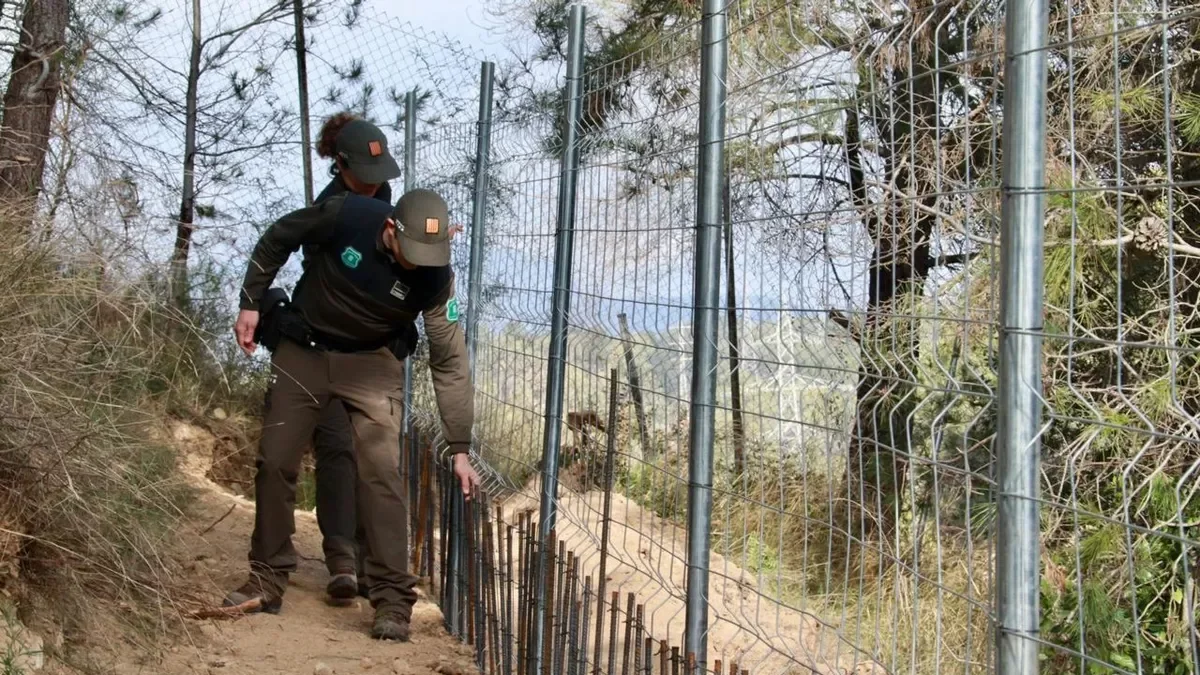 Los agentes rurales inspeccionan el vallado perimetral en una zona forestal de Rubí. - COMÚ DE LLEIDA