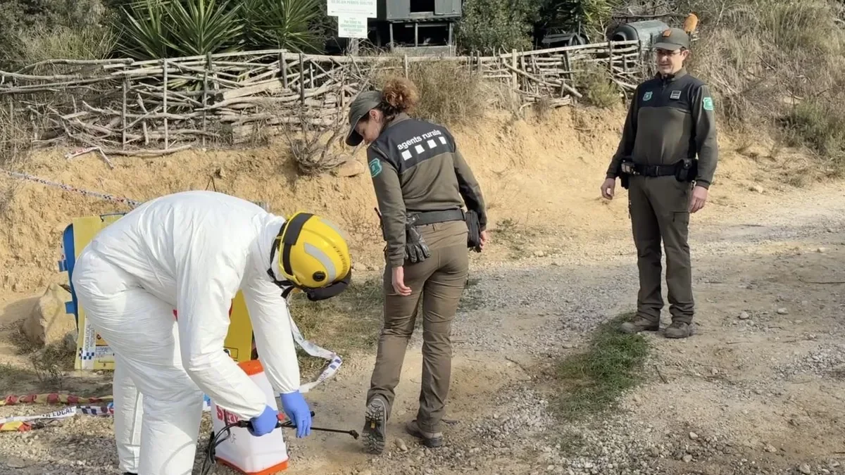 Desinfección en la zona de vigilancia de la PPA. - ACN