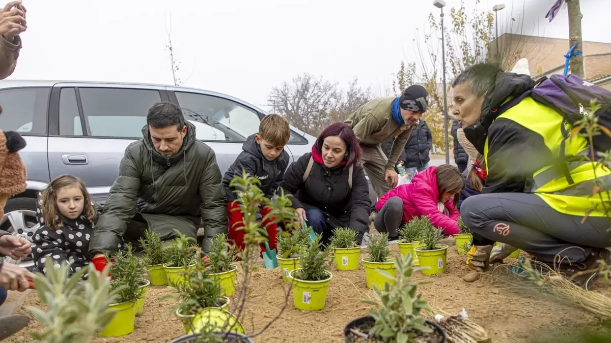 La fundació Aspros i l’empresa Maderas Obiols van col·laborar a la plantació. - JORDI ECHEVARRIA