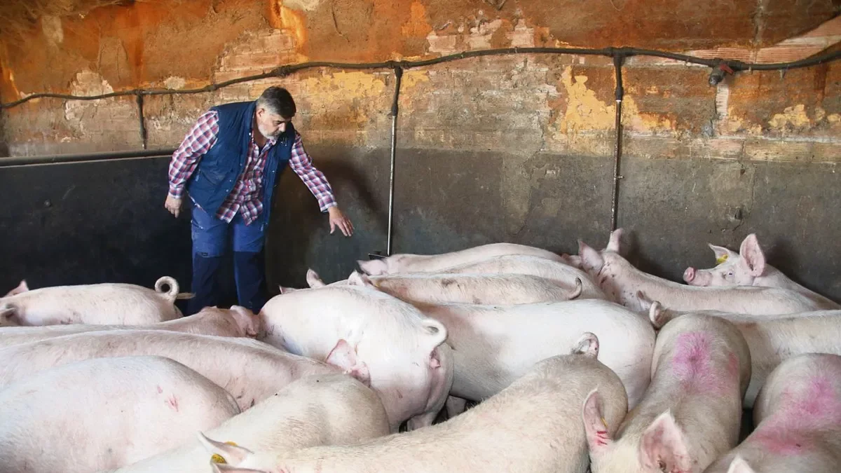 «Serà un any dur, però aquesta crisi és diferent d’altres pestes»