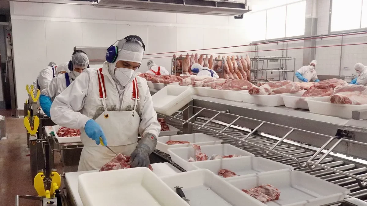 El sector porcí és una potència exportadora i té a la Xina un dels seus grans mercats. - ACN