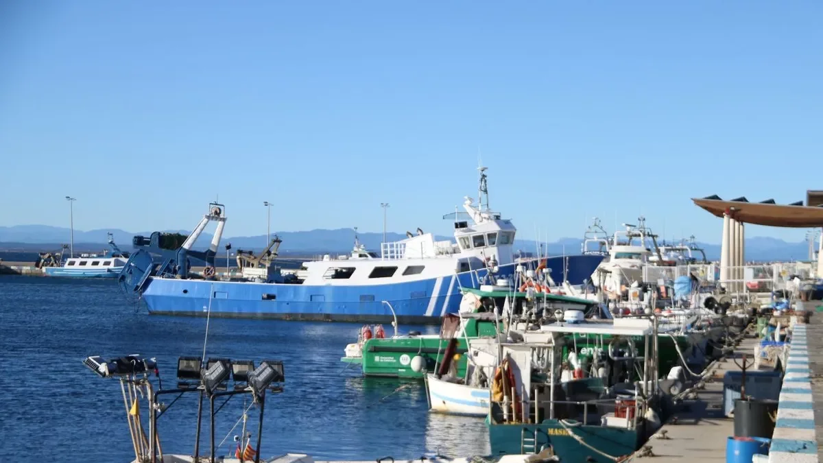 Barcas de pesca amarradas en el puerto de Roses. - ACN