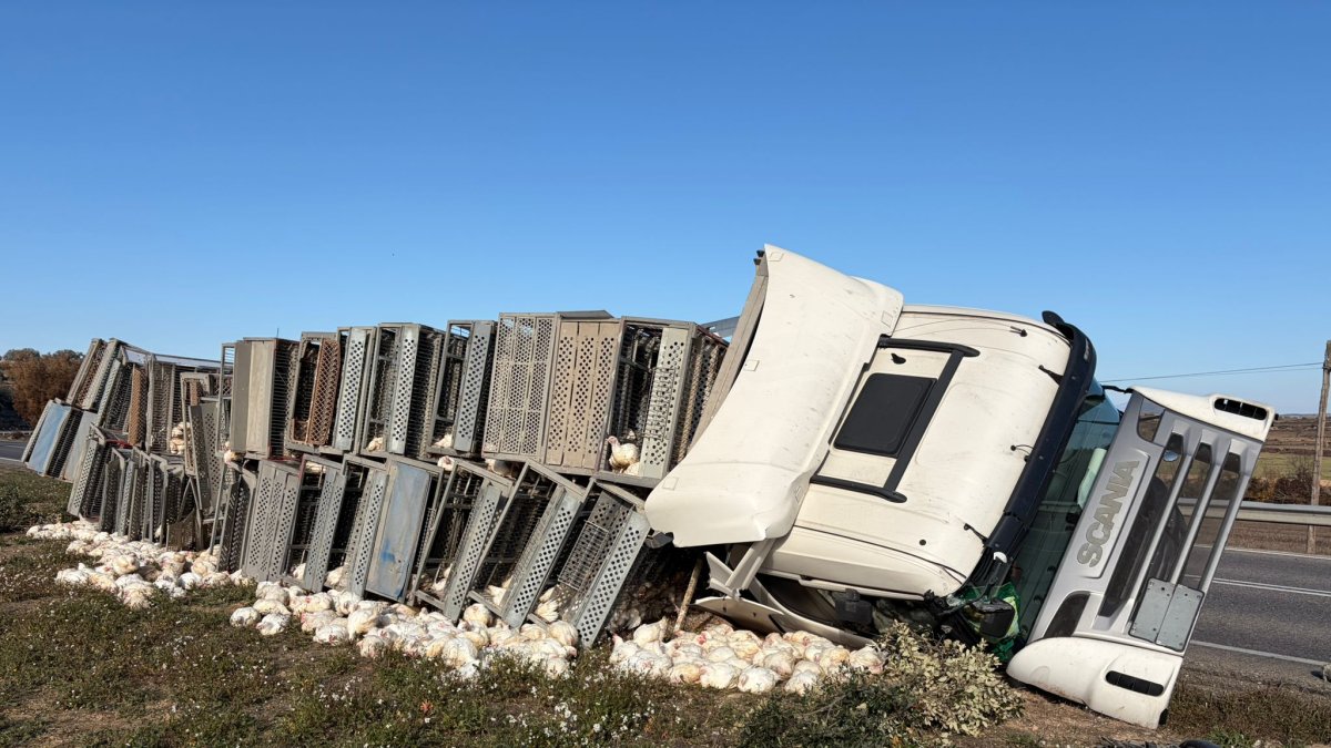 Bolca un camió de pollastres a Ossó de Sió, a l’Urgell