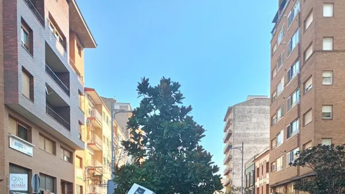 Contenidors de brossa diumenge en una avinguda de Binèfar. - E.B.D.