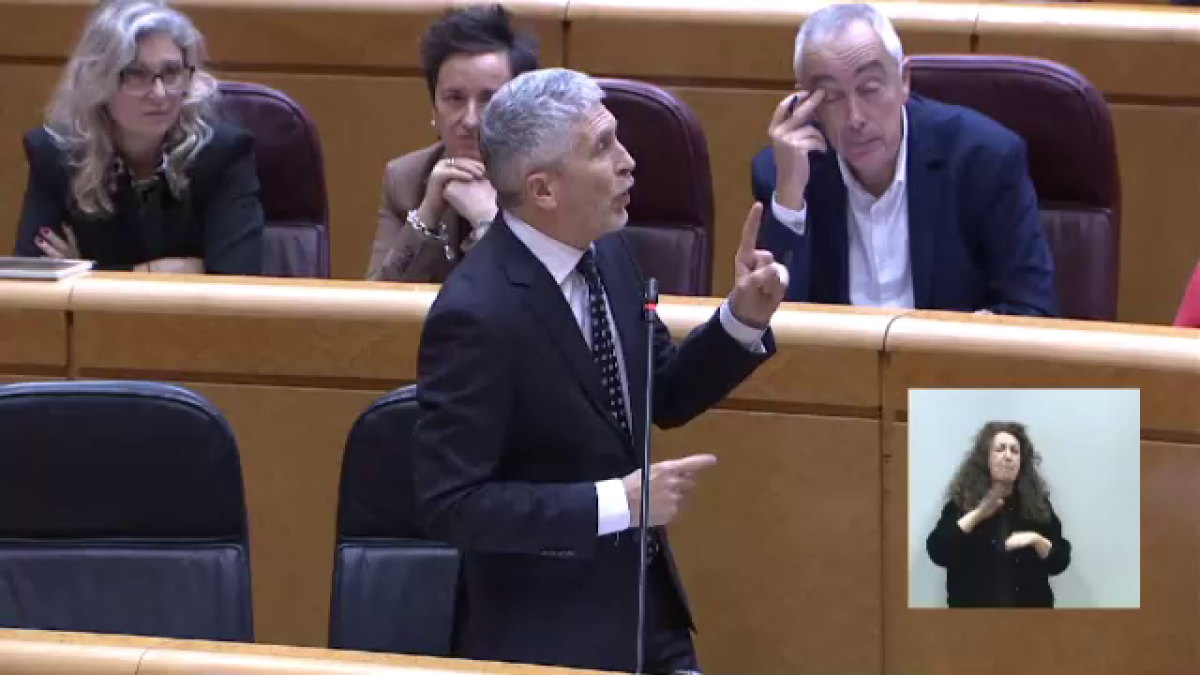 Fernando Grande-Marlaska es justifica al Senat.